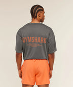 Ensemble SoftLess GS