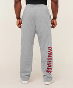 Power Pant GS